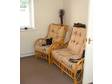 £150 - HAVANA CANE,  Pair of chairs